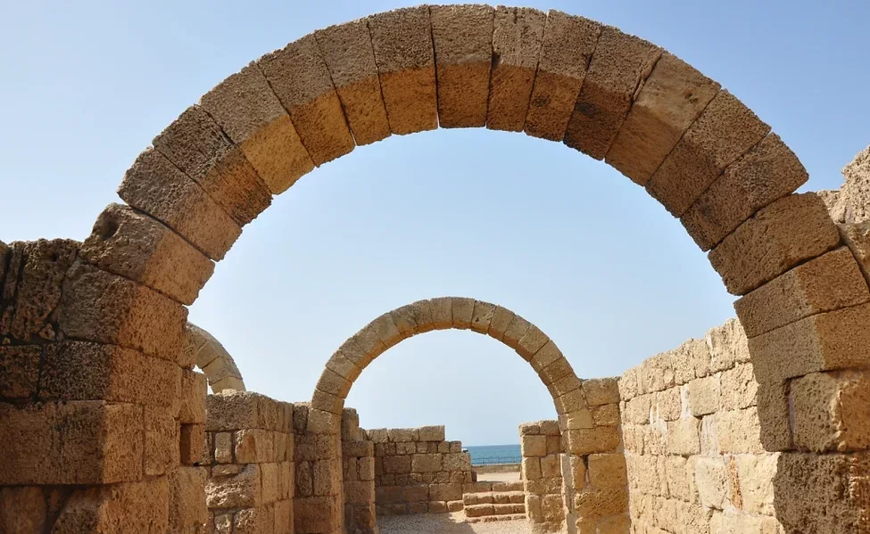 5892f3_4c5f2229f02b4bb8837bf238d42c8b26