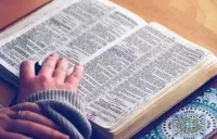 nsplsh_66676d6632457972776d34mv2_d_4431_3144_s_4_2-3