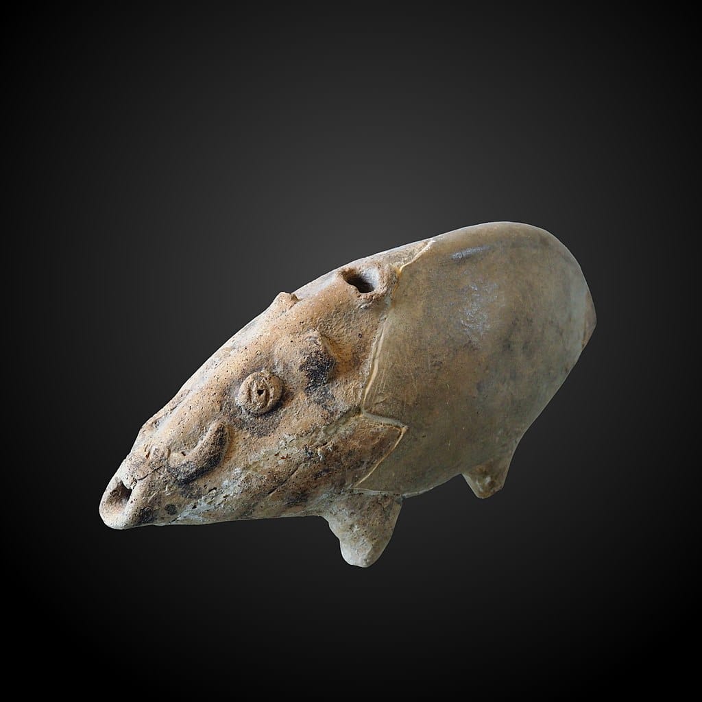 rhyton sanglier
