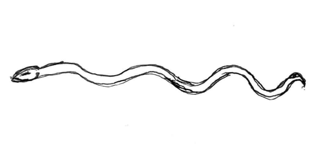 serpent timna serpent-timna
